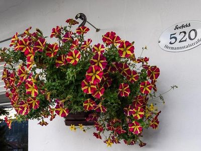 Ferienwohnung für 3 Personen (60 m²) in Seefeld in Tirol 5/10