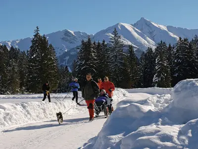 AreaWinter20KM