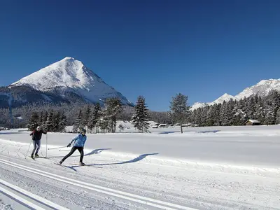 AreaWinter20KM