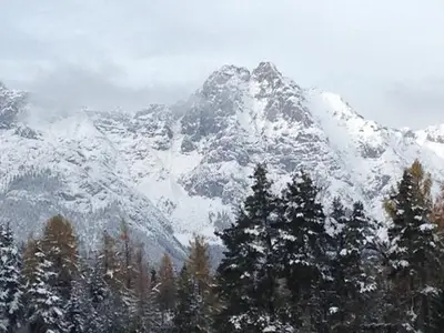 Ferienwohnung für 2 Personen (32 m²) in Seefeld in Tirol 9/10