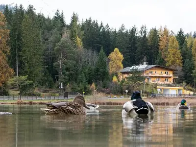 Ferienwohnung für 3 Personen (45 m²) in Seefeld in Tirol 5/10