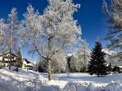Ferienwohnung für 7 Personen (20 m²) in Seefeld in Tirol 7/10