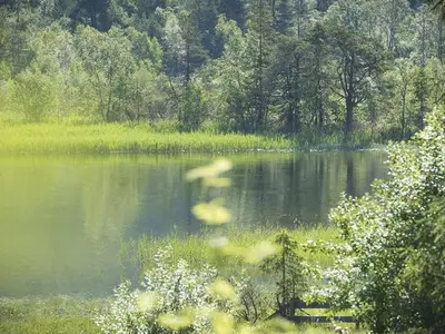 Ferienwohnung für 2 Personen (45 m²) in Seefeld in Tirol 7/10