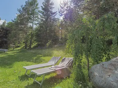 Wunderschöner Waldgarten hinter dem Haus