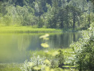 Balkonaussicht im Sommer