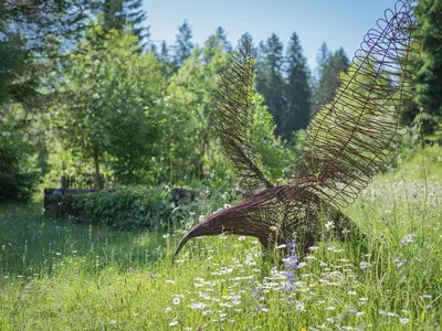 Adler in der Blumenwiese
