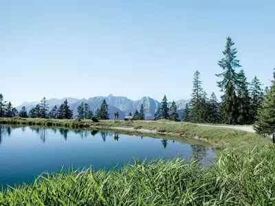 Ferienwohnung für 6 Personen (100 m²) in Seefeld in Tirol 8/10
