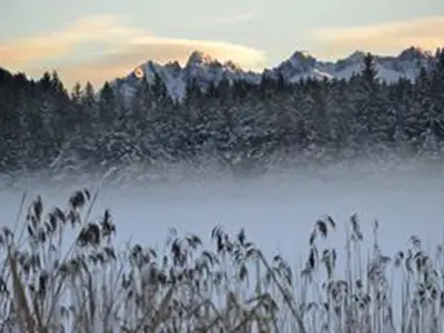 Ferienwohnung für 4 Personen (65 m²) in Seefeld in Tirol 6/10