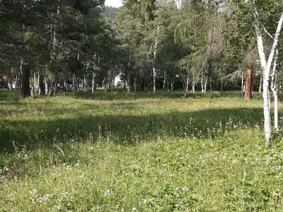 Ferienwohnung für 6 Personen (120 m²) in Seefeld in Tirol 8/10
