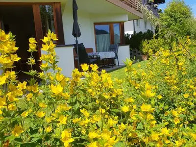 Ferienwohnung für 6 Personen (70 m²) in Seefeld in Tirol 6/10
