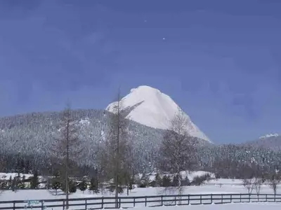 Ferienwohnung für 4 Personen (65 m²) in Seefeld in Tirol 5/10