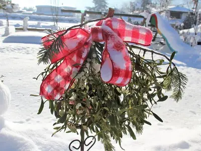 Ferienwohnung für 4 Personen (40 m²) in Seefeld in Tirol 3/10