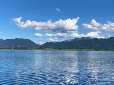 Forggensee