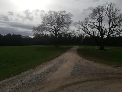 Ferienwohnung für 2 Personen (30 m²) in Seeg 6/10