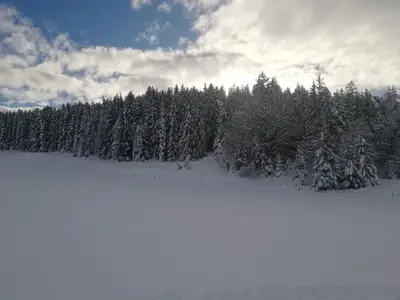 Ferienwohnung für 2 Personen (30 m²) in Seeg 7/10