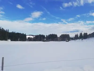 Ferienwohnung für 2 Personen (30 m²) in Seeg 8/10
