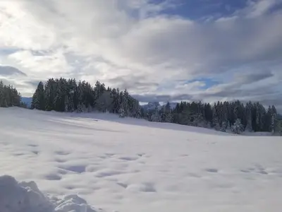 Ferienwohnung für 2 Personen (30 m²) in Seeg 9/10