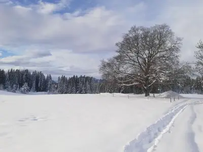 Ferienwohnung für 2 Personen (30 m²) in Seeg 10/10