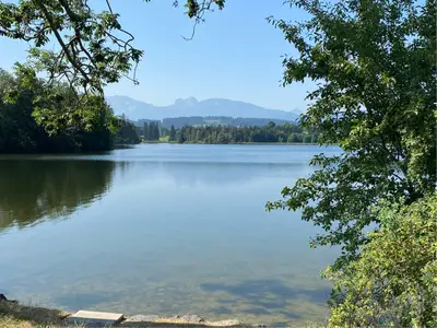 Schwaltenweiher
