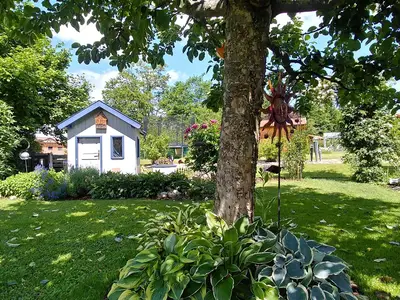 In unserem Garten...