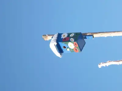 Vogelhäuschen in unserem Garten