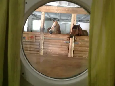 Blick durchs Bullauge