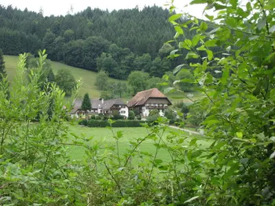 Blick von der Litschentalstrasse zum Hof