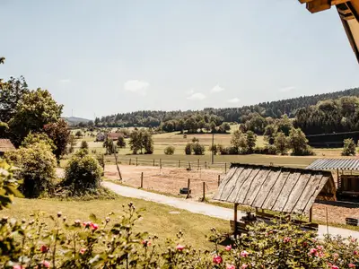 Ausblick