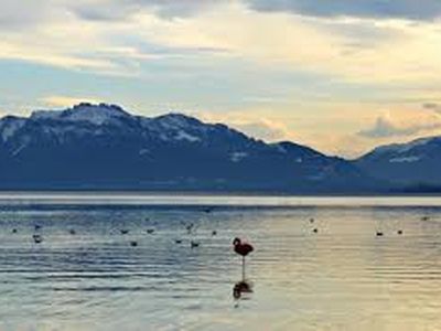 Chiemsee mit Blick auf die Berge