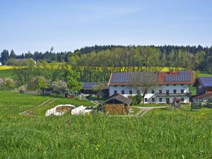 Ferienwohnung für 5 Personen (50 m²) in Seeon-Seebruck