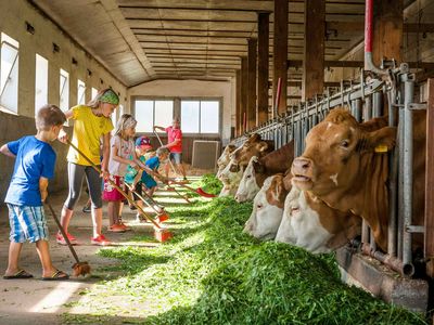 Bambini Stalldiplom am Esterer Hof