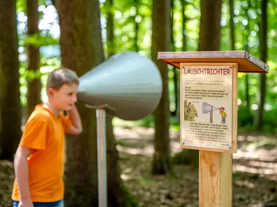 Entdeckt mit dem Lauschtrichter die Geräusche des Waldes