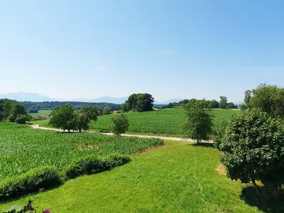 Aussicht vom Balkon