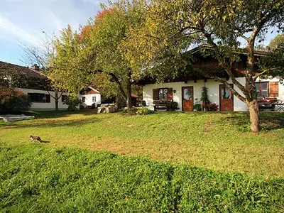 Ferienwohnung B und C mit Südterrasse