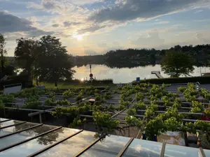 Ferienwohnung für 2 Personen (50 m²) in Seeon-Seebruck