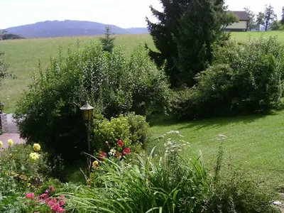 Ferienwohnung für 5 Personen (70 m²) in Seewalchen am Attersee 9/10