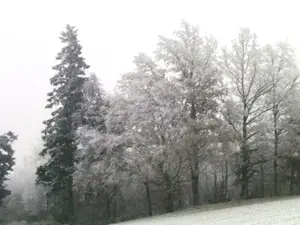 Ferienwohnung für 5 Personen (70 m²) in Seewalchen am Attersee