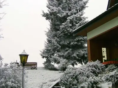 Ferienwohnung für 5 Personen (70 m²) in Seewalchen am Attersee 4/10