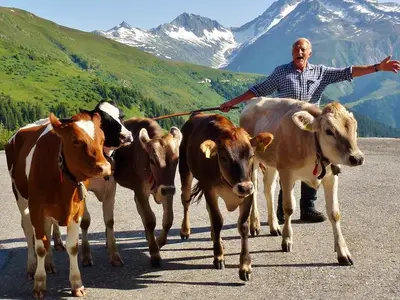 Ferienwohnung für 5 Personen in Segnas 3/10