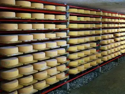 Ferienwohnung für 5 Personen in Segnas 4/10