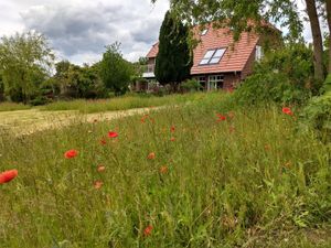 19264158-Ferienwohnung-4-Sehlen-300x225-1