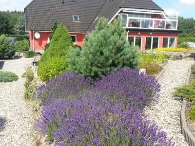 Ferienwohnung für 2 Personen (45 m²) in Sehlen 2/10