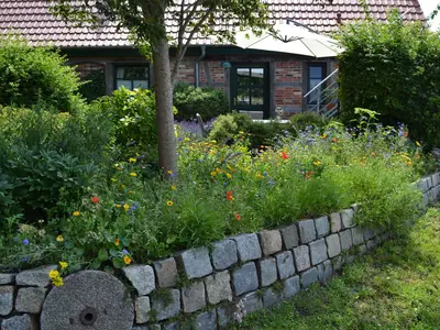 Ferienwohnung für 2 Personen (45 m²) in Sehlen 3/10