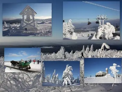 Ferienwohnung für 4 Personen (50 m²) in Sehmatal 7/10