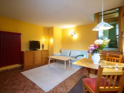 Ferienwohnung für 4 Personen (55 m²) in Seiffen/Erzgebirge 4/9