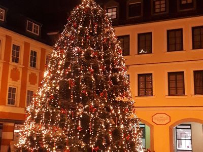 Größter mit Porzellan geschmückter Weihnachtsbaum Selb