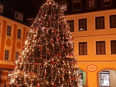 Größter mit Porzellan geschmückter Weihnachtsbaum Selb
