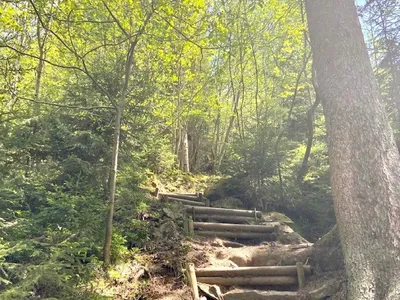 Wanderweg "Hirschsprung" Höllental