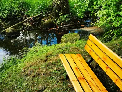 Bild 8