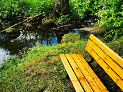 Ferienwohnung für 6 Personen (120 m²) in Selk 9/10